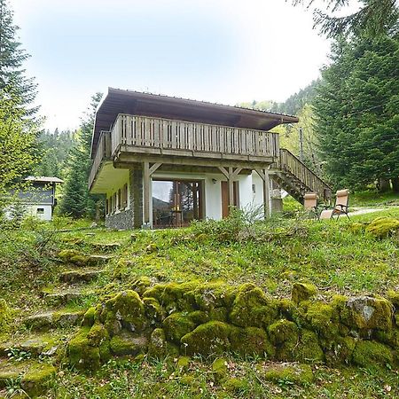 Le Schwarzwald - A Proximite Des Stations De Ski La Bresse Bagian luar foto