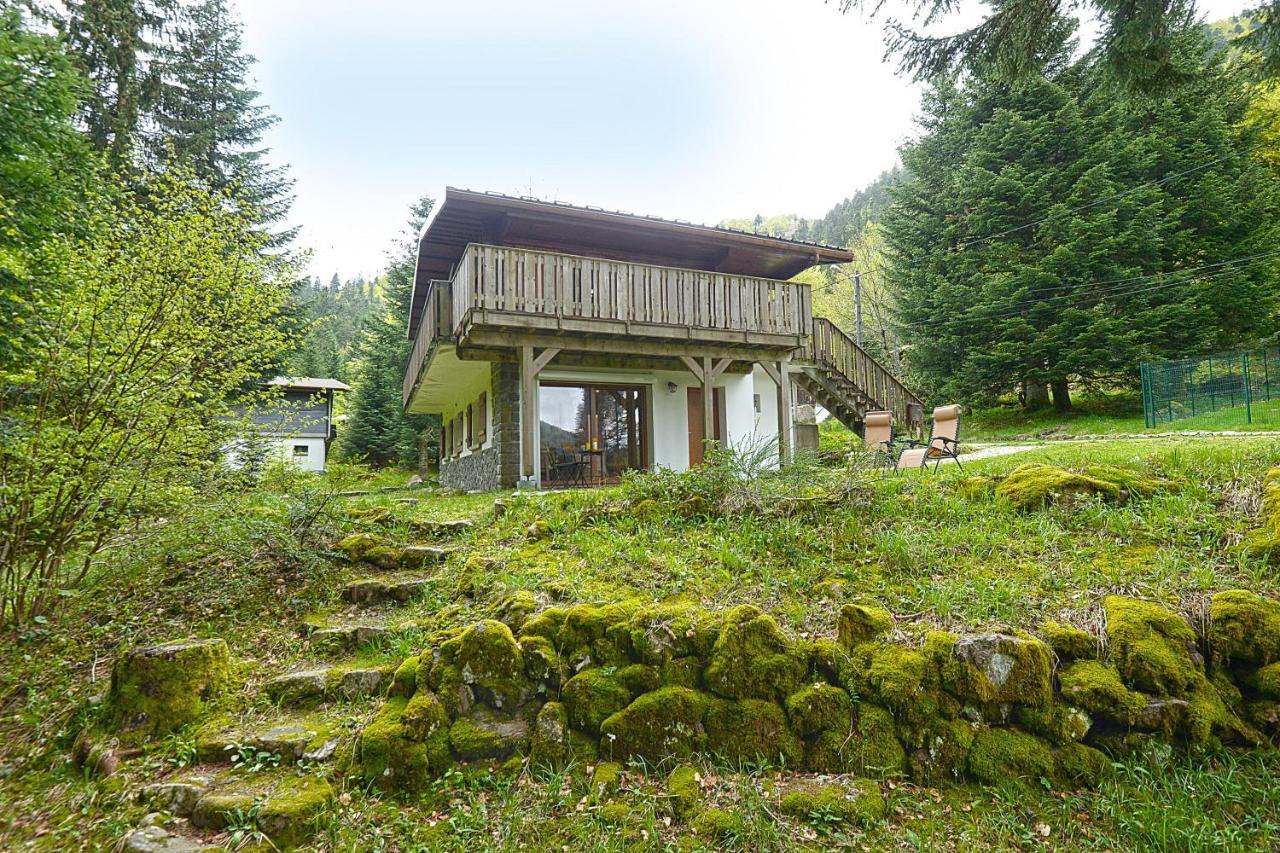 Le Schwarzwald - A Proximite Des Stations De Ski La Bresse Bagian luar foto